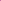 dark pink bow tie