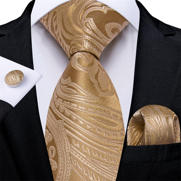 Ties2you Mens Tie Light Gold Paisley Necktie Pocket Square Cufflinks Set