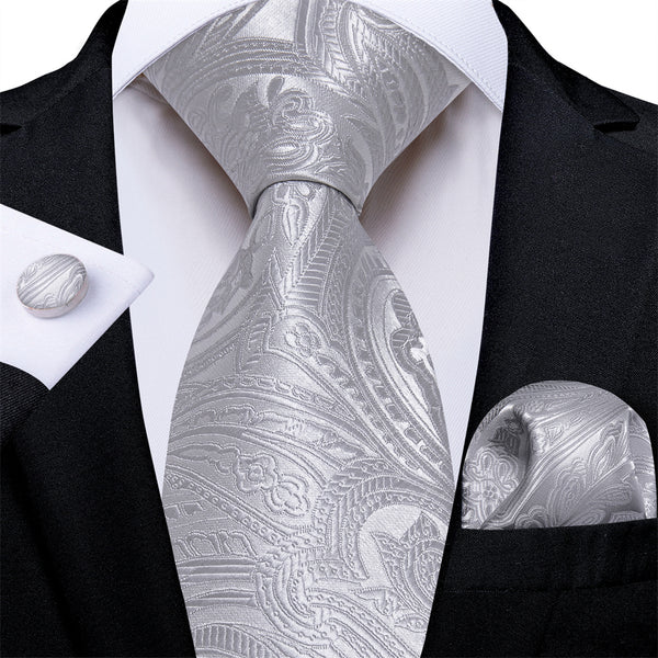 Ties2you Mens Tie Silver Paisley Necktie Pocket Square Cufflinks Set