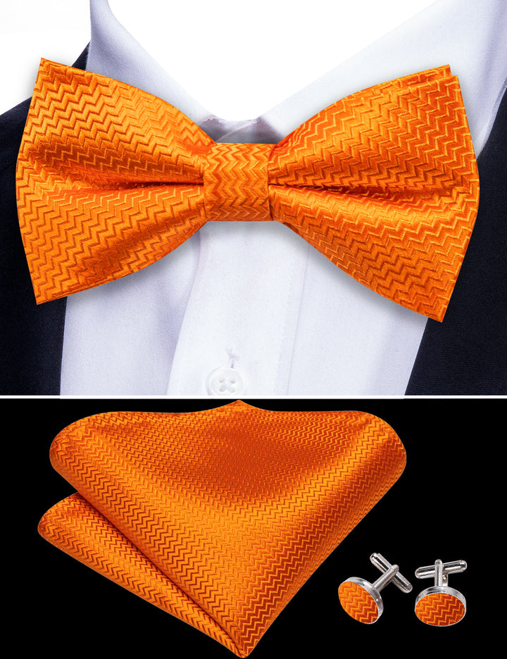 orange kitten bowtie