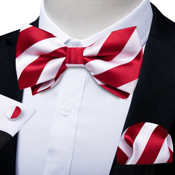 Ties2you Red Striped Bow Tie for Men Holiday Pre-tied Bowtie Hanky Cufflinks Set