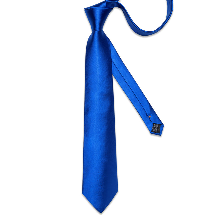 Royal Blue Solid silk mens tie designers